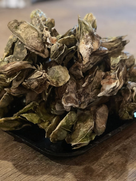 Oyster season is here!
